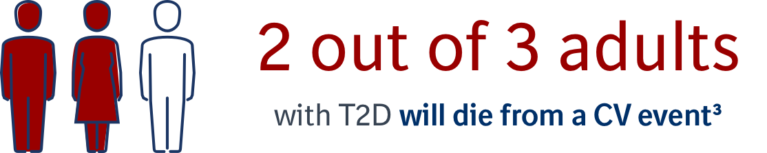 Graphic showing that 2 out of 3 adults with T2D will die from a CV event 2 of 3 adults icon