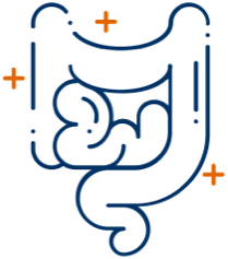 graphic of an intestine intestine graphic